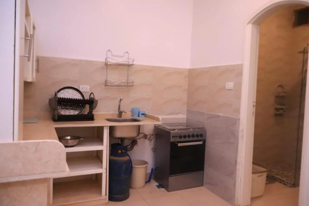 Luxor Palm Villa Apartment